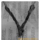 헤이븐동물병원 이미지