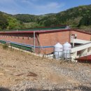 선정축사 이미지