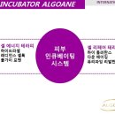 신데렐라피부샵 - 포항시 남구 | 신데렐라피부샵