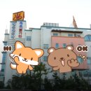 오션스파24시 이미지