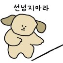 세종수선