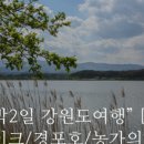 경포배오징어 이미지