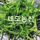 성원농산2농장 이미지