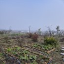 고령농장(2) 이미지