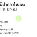 온리유 티스토리