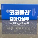 이중모 포메라니안 추천 샴푸 | 코코몰리 저자극 강아지샴푸 후기