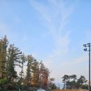 일레븐CC 이미지