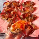 소라언덕 | 서울 근교 당일치기 뚜벅이 여행 : 오이도 난전시장 꽃게&amp;소라 추천 후기