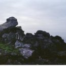 오백장군갤러리 공연장 이미지