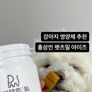 펫츠밀 이미지