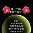 독배