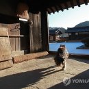 청송외갓집 이미지