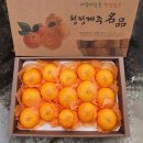 1123 쇼핑하우
