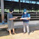 사천축사 이미지