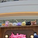 애니티즈 팝업 방문 후기 에이티즈가 내 돈 다 털어감