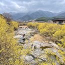 구례 버스킹 공연 이미지