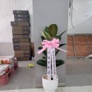 영플라워 네이버블로그