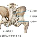 싯디요가협동조합