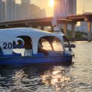 한강오리 이미지