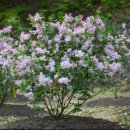 신구대학박물관 이미지