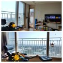 서귀포삼성공인중개사사무소 | 코로나 제주도 세번째 확진자와 제주해밀 일상의 변화