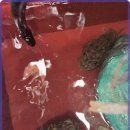 현대낚시 이미지