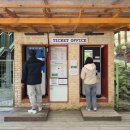 대한다원 | [보성 여행 #1] 3월의 초록빛 선율, 대한다원 녹차밭 출사 후기 (입장료, 코스, 바다전망대 솔직리뷰)