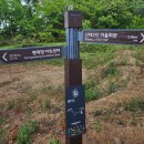 대안4리마을회관 | 202505010 경기둘레길 44~45코스(내리공원~신대2리정류장~국제대교~마안산(112.3m)~평택호~한국소리터...