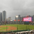 피자스쿨 사직점 | 사직구장 내야상단 132블럭 10열 / 사직 맛집 처갓집 슈프림, 피자스쿨