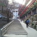 양곡초교 이미지