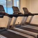 고하드짐 이미지