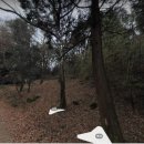 순천-44호 이미지