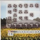 제주하루빵