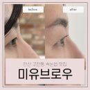 <미유브로우>_안산 고잔동 속눈썹펌 무쌍도 잘하는 곳 +유지력 후기 첨부!