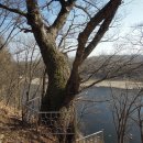 장남면사무소 이미지