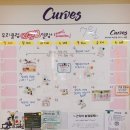 커브스 매탄클럽 | 나의 커브스 운동기