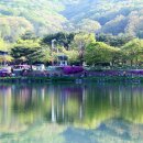ICHEON14 이미지