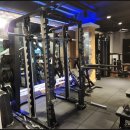 데일리피티 이미지