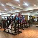 에스비에스피팅짐 이미지