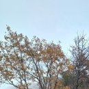 청평1리 마을회관 이미지