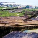 제주 삼양동 유적 이미지