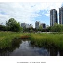 상동호수공원 이미지