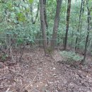 큰개마을 이미지