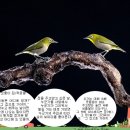 모퉁이집 이미지