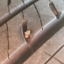 번개공업사 이미지