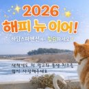 뉴세심천