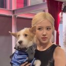 열린스토어 이미지