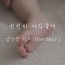 이프(I.F)