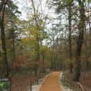 이마트24 진접광릉점 | 남양주 광릉｜유네스코 세계문화유산 세조·정희왕후 능 산책기