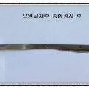 검불 이미지
